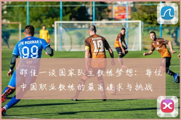 邵佳一谈国家队主教练梦想：每位中国职业教练的最高追求与挑战