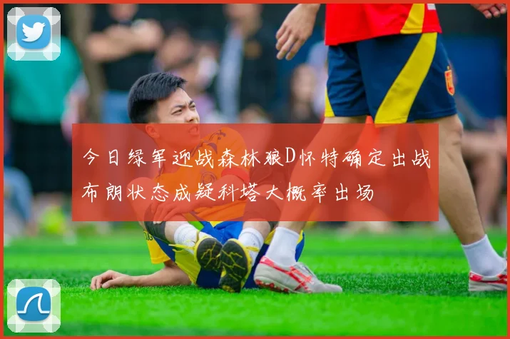 今日绿军迎战森林狼D怀特确定出战布朗状态成疑科塔大概率出场
