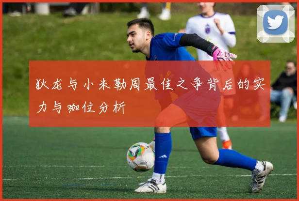 狄龙与小米勒周最佳之争背后的实力与咖位分析