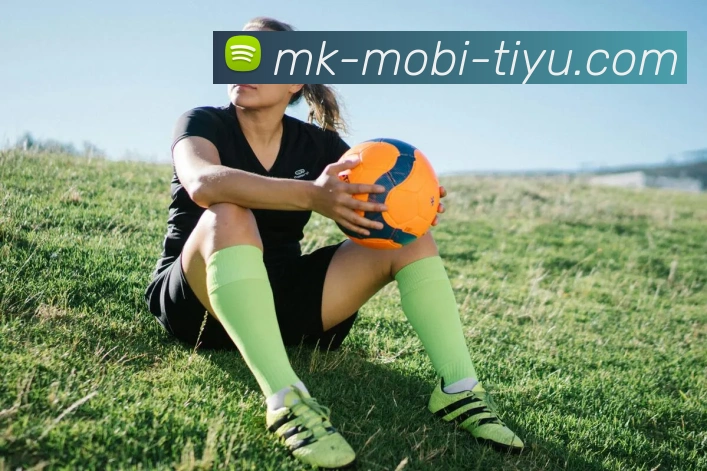 MK体育发展历程